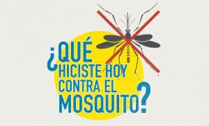que-hiciste-hoy-contra-el-mosquito