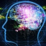 neurociencia-pameo-de-cerebro-580x330