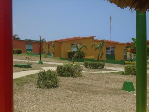 los cocos 4