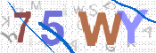 Imagen CAPTCHA