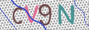 Imagen CAPTCHA