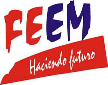 logo-feem-380x300