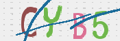 Imagen CAPTCHA